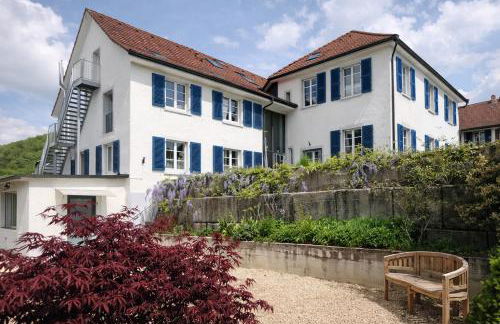 Exklusive LOFT-Wohnung, nur 30 Min von Zürich - Foto 12