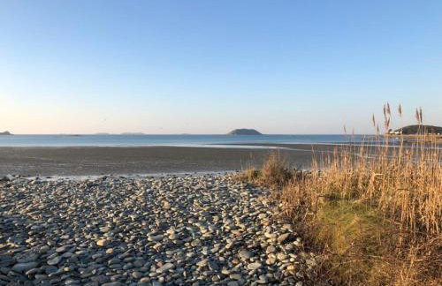 Les écolodges Sous Le Phare - Foto 31