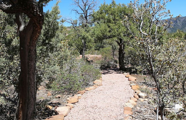 Sundial Circle Pine - Photo 34