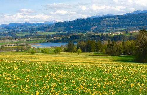 Ferienwohnung Heimatliebe - Photo 26