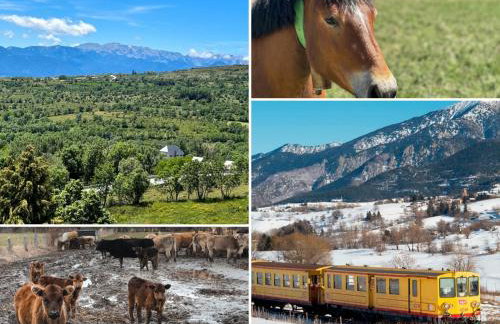 Cal Esquirol - Foto 3