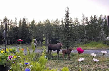 Knik Wilderness Getaway - Foto 22