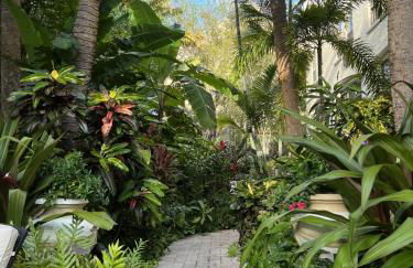 LimeGreen ORCHID - Foto 8