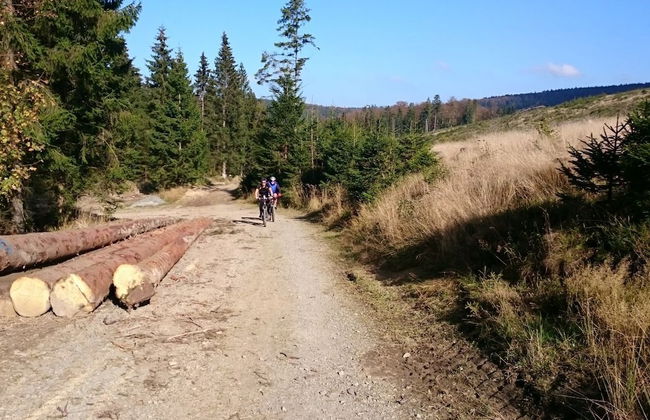 Landhaus am Bach - Foto 26