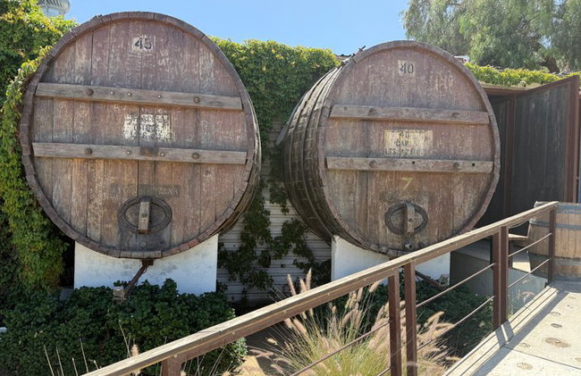 Private Deluxe Wine Tour to Valle de Guadalupe by Luxury Vehicle - Photo 51