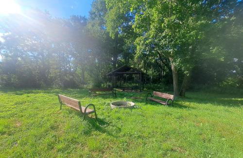 Ulinia Wilcza 4 niebieski - Photo 12