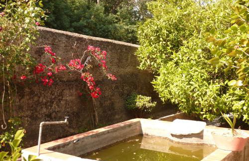 Chalet Monchique - Foto 39