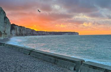 Charmant Studio avec vue sur le port et falaises - Foto 34