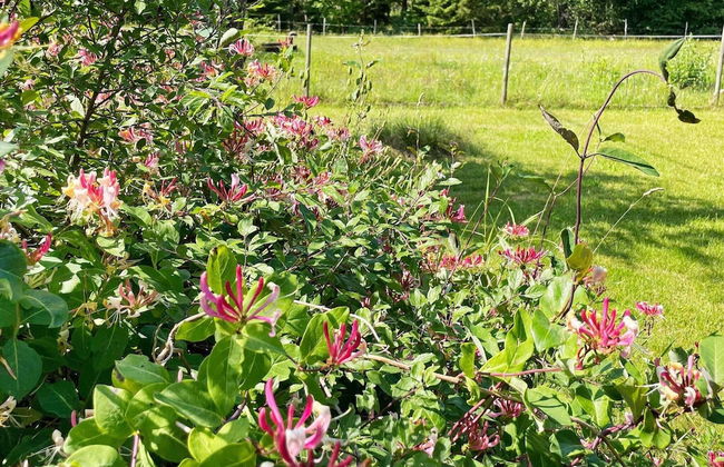 4 Star Holiday Home in Tving - Photo 12