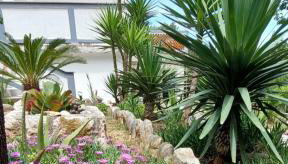 Milijana Apartments Rab - Foto 4