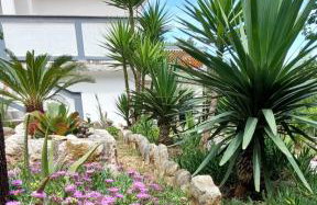 Milijana Apartments Rab - Photo 3