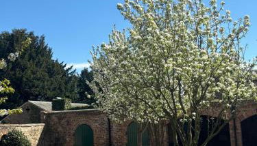 Courtyard House- Luxury Holiday House with floodlit Tennis court - Foto 2, Garden, Garden view