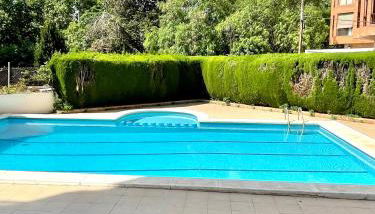 APARTBEACH y SANCHO ABARCA PRIVILEGE - Foto 2, Garden