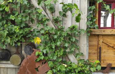 ZUM SCHEUNENHOF- SCHEUNE - Nähe Legoland - Familienfreundlich - Handwerker willkommen - Foto 14