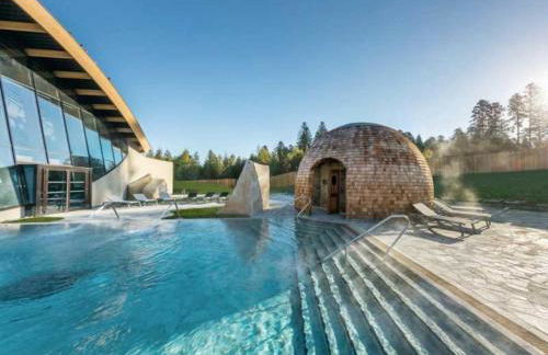 L'Europ'appart - Cosy - Gare - Center parcs -St Croix - Foto 18