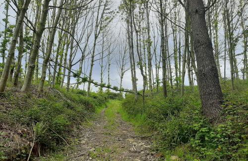 Casa Rural GAUBEKA - Foto 32