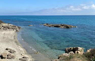 T2 VUE MER CORSE N193 - Foto 11