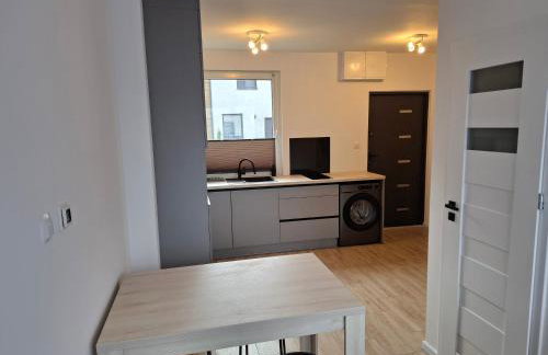 Apartament w Pszczewie nad jeziorem Duży Szarcz - Foto 8