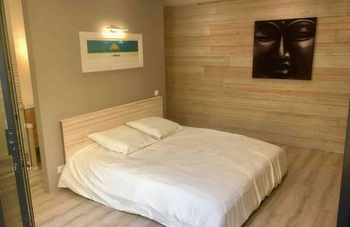 Maison contemporaine plein centre piscine &jacuzzi - Foto 10