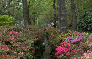 Surbiton Home with free parkings, Surbiton, Kingston upon Thames, Surrey, Greater London UK - Foto 78