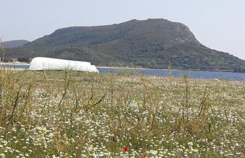 TORONI ALPHA STUDIOS - Foto 71