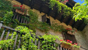 La Casa del Bosque - Foto 4