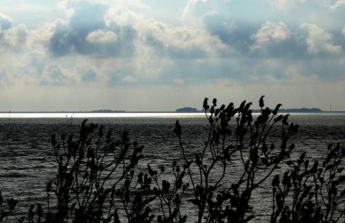 Haus-Halligblick-Ferienwohnungen-am-Meer - Foto 35