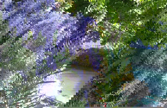 Villa Fiorita - Photo 56