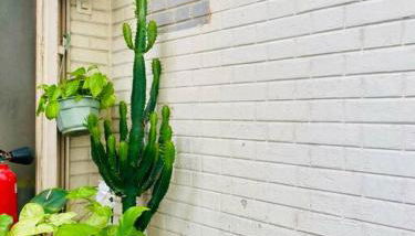 Maisonnette au calme proche T2 - Foto 4