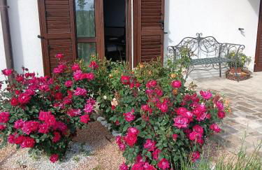 L'Antico Fienile - Foto 45