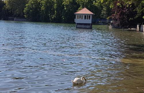 Wohnung Seerose - Foto 21