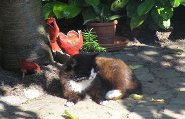 Eifelferienkurth - Photo 47