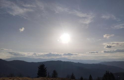 Przystanek Bystra - Foto 20