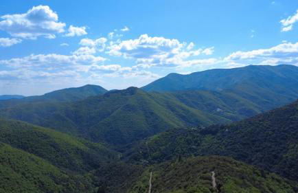 Le Châtaignier - Foto 10