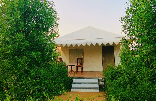 Jawai Horizon Camp - Foto 25