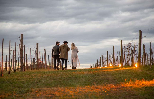 Visit to Bodega Gamboa Winery - Photo 6