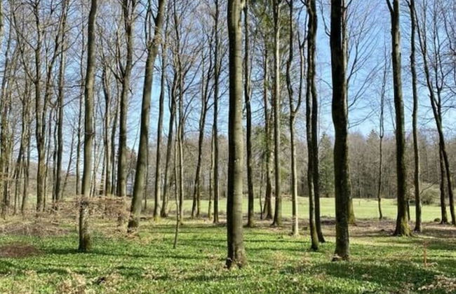 Holiday Home Eifelise - Foto 18