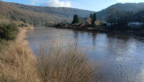 Walker's Rest - Photo 4