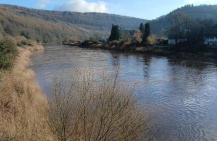 Walker's Rest - Photo 4