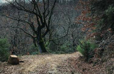 Villa Riverwood - Foto 43