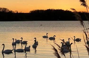 Charmant appartement au Port de Dienville - Photo 10