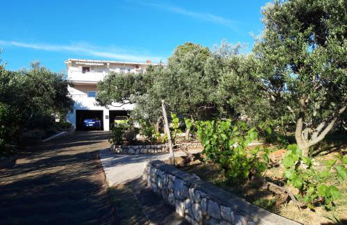 Apartment Gligora - Photo 3