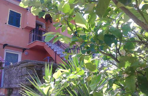 Mare, Monti e...Cinque Terre - Foto 38