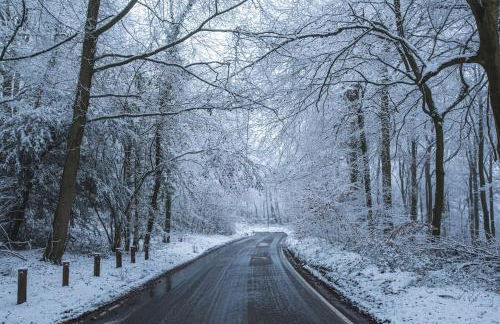 The Organic Cotswolds Cowshed - Photo 64