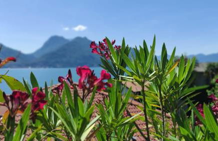 La casa di Emy- Larihome A74 - Foto 19