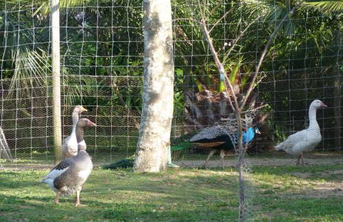 Atlantico Apartments - Photo 58