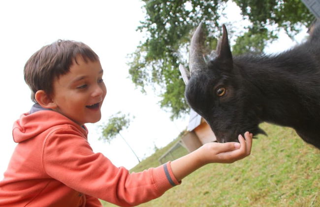 VVF Normandie Forges-les-Eaux - Foto 31