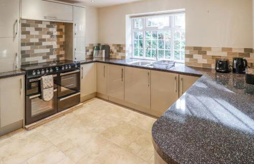 Paws In The Pines - Foto 10