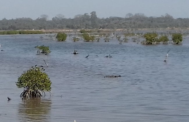 Kounakito - Meaning 'welcome' - Foto 23