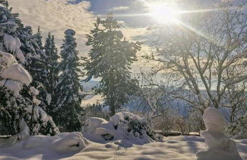 Bernhardsberg - Foto 47